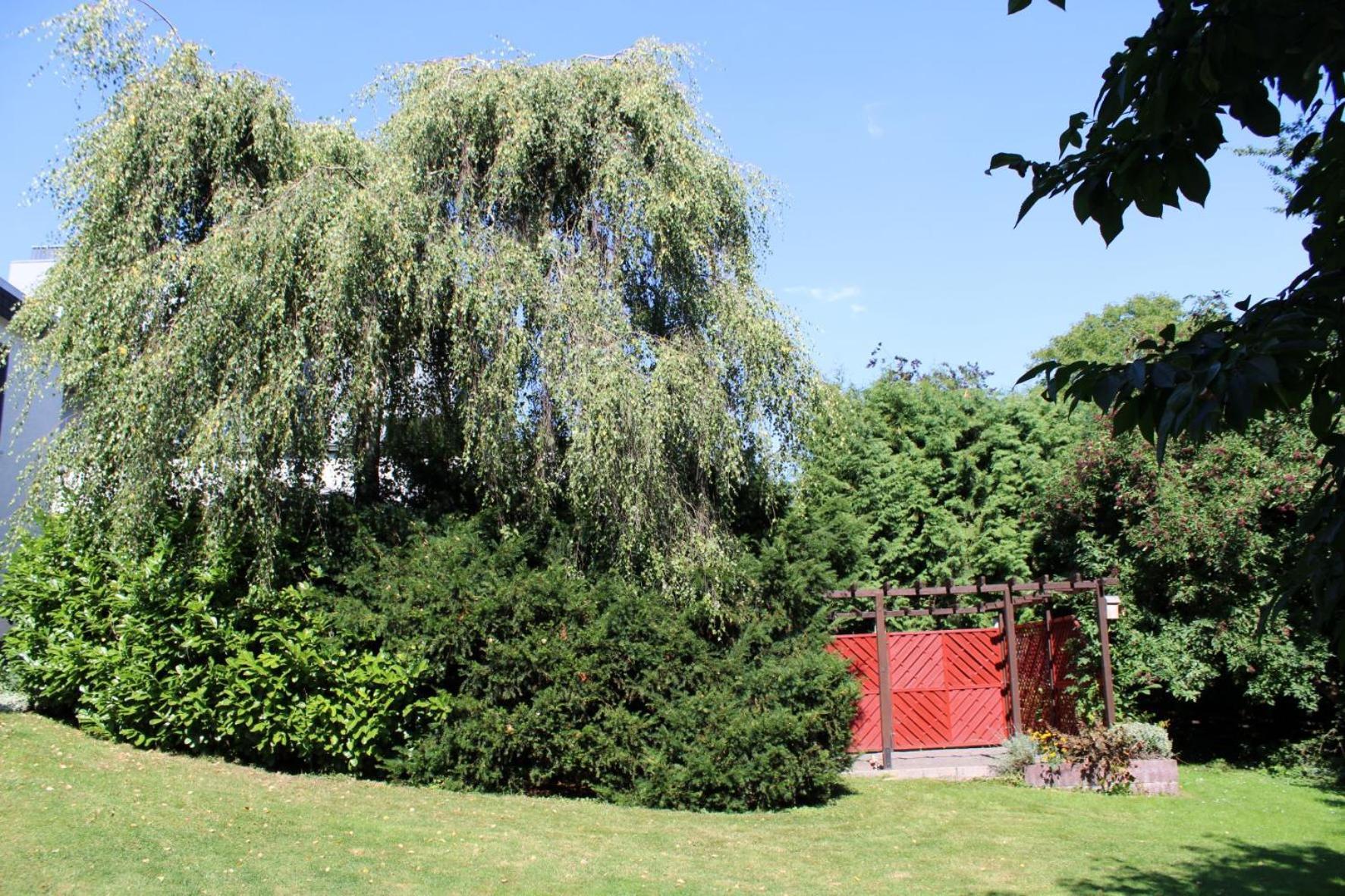 Ferienwohnung Moehneblick Möhnesee Zewnętrze zdjęcie